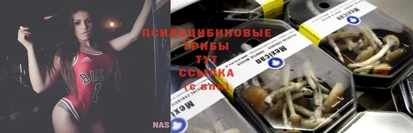 прущие крисы Балабаново