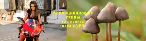 прущая мука Баксан
