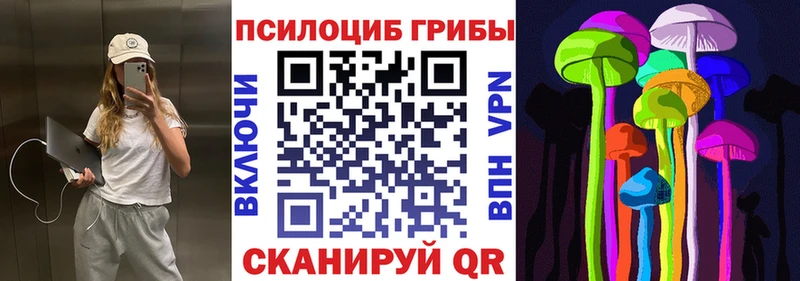 Псилоцибиновые грибы Magic Shrooms  где купить наркотик  Кумертау 